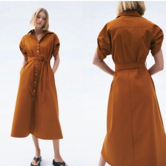 Zara Brown Midi Dress - Picture 3 of 14